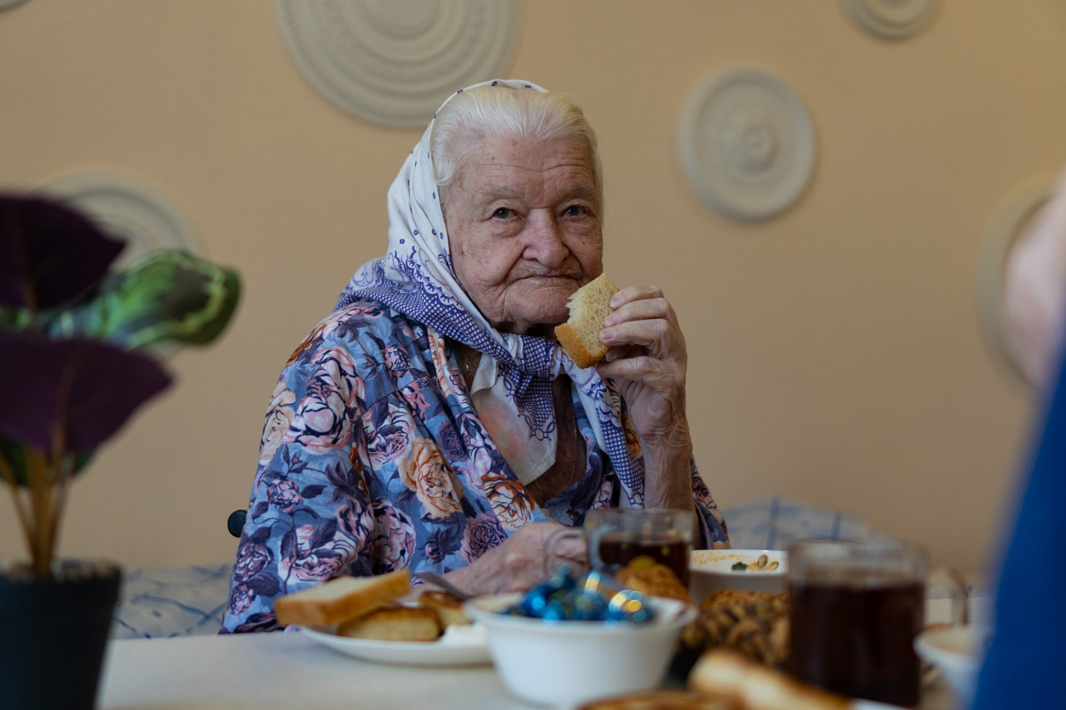 Резиденция на ул. Щукина (организация питания)
